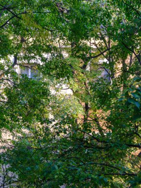 Milano, Lombardiya, İtalya 'daki Biondi üzerinden tarihi konut binaları