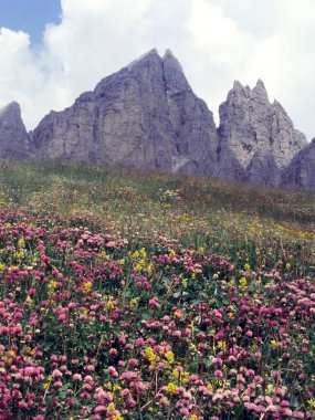 Gardena Geçidi boyunca uzanan dağ manzarası, Bolzano ili, Trentino-Alto Adige, Dolomitler, İtalya