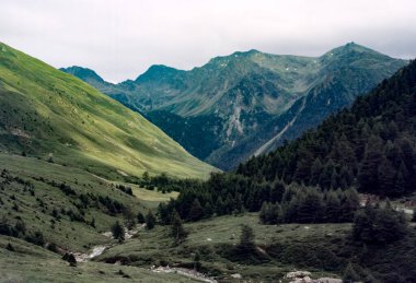 İtalya 'nın Trentino-Alto Adige bölgesindeki Bolzano eyaletinin Pennes Geçidi yolu boyunca uzanan dağ manzarası.