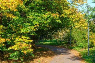 Viale Enrico Fermi 'nin bisiklet yolu Milano, Lombardy, İtalya, sonbaharda