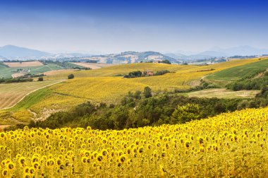 Yürüyüşleri (İtalya): yaz manzara