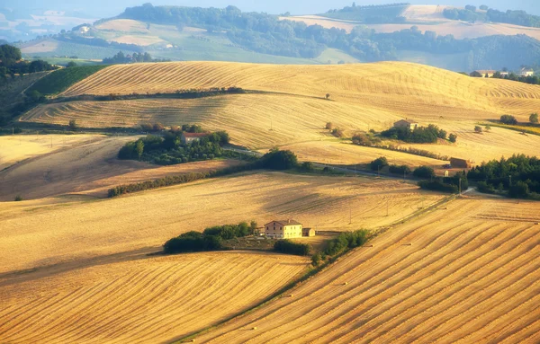 ファームの行進 （イタリア） - 夏の風景 — ストック写真