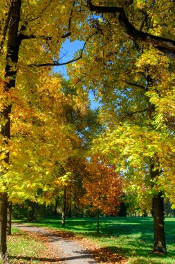 Monza parkının yolu, Brianza, Lombardy, İtalya, Ekim ayında