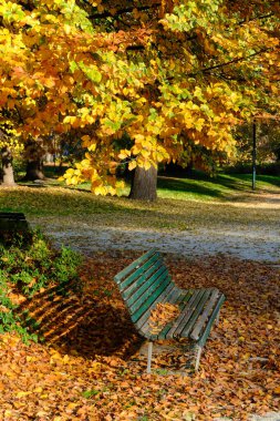 Parco Sempione 'de sonbahar, Milano, Lombardiya, İtalya' da halk parkı