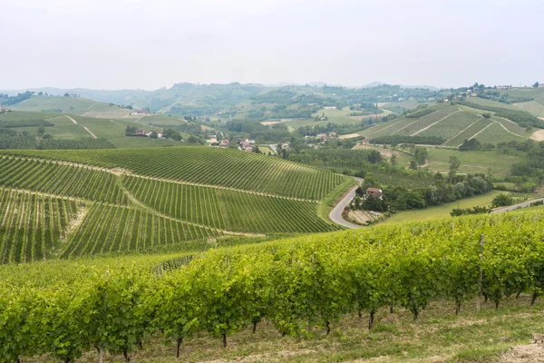 Landskap i Langhe (Piemonte) — Stockfoto