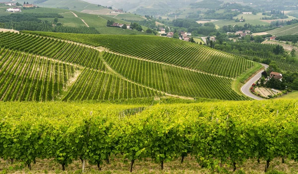Krajobraz w Langhe (Piemont) — Zdjęcie stockowe