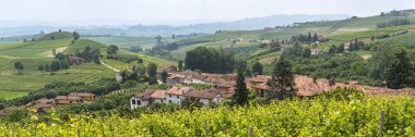 Langhe (Piedmont peyzaj)