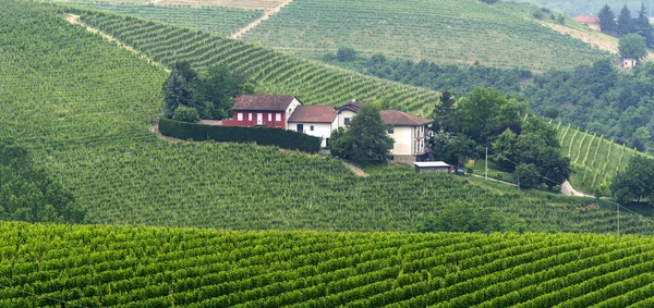 Paisaje en Langhe (Piamonte ) — Foto de Stock