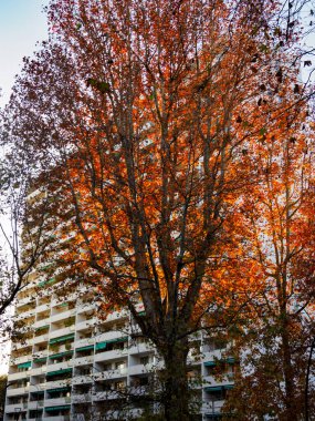 Milano, Lombardiya, İtalya 'da Corso Sempione boyunca modern konut binaları