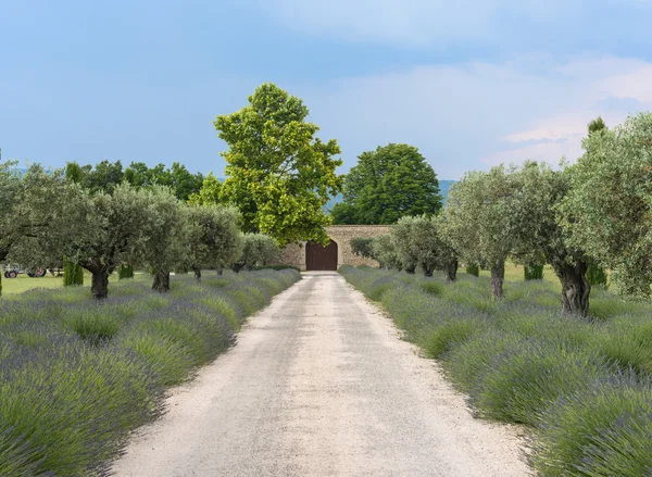 Bauernhof in der Provence — Stockfoto