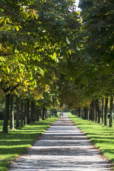 Milano: percorso nel parco — Foto Stock