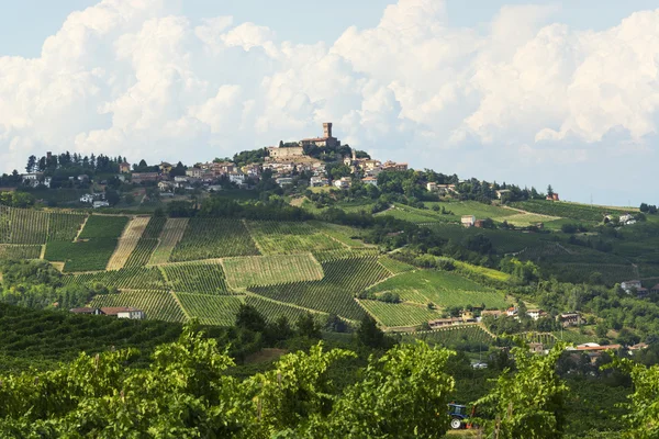 Winnice w Oltrepo Pavese (Włochy) — Zdjęcie stockowe