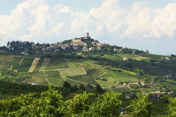 Viñedos en Oltrepo Pavese (Italia) ) —  Fotos de Stock