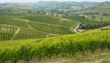 Langhe (Piedmont peyzaj)