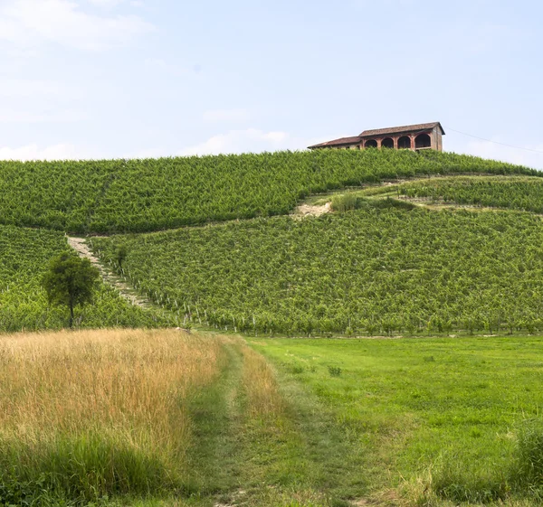 Monferrato (Piemont): krajobraz — Zdjęcie stockowe