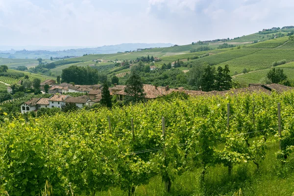 Langhe (Piemonte, Italien) — Stockfoto