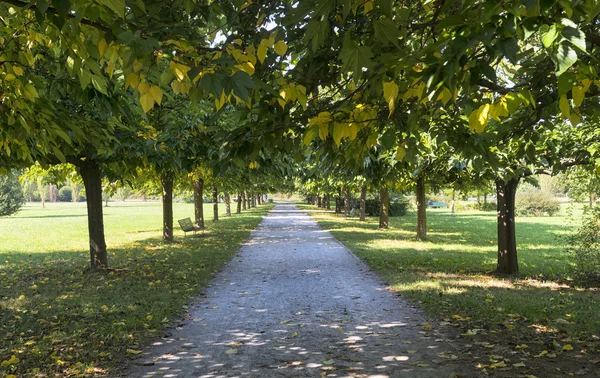 Milan: path in the park — Stock Photo, Image