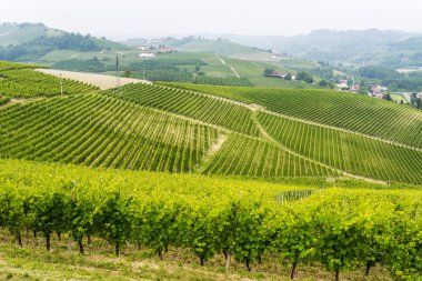 Langhe (Piedmont peyzaj)