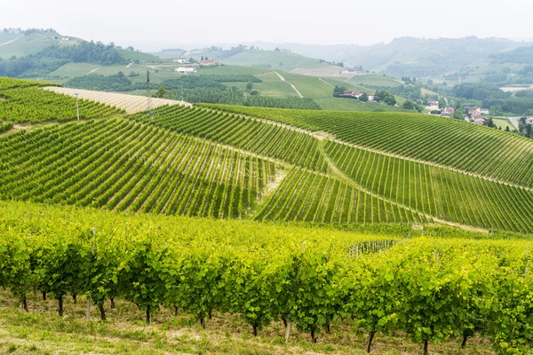 Τοπίο σε Langhe (Πιεμόντε) — Φωτογραφία Αρχείου