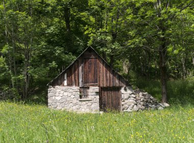 Alpler'de küçük evi