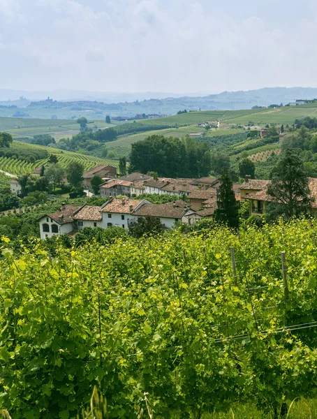 Langhe (Piemontu, Włochy) — Zdjęcie stockowe