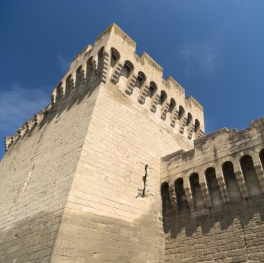 Avignon (Provence, Fransa)