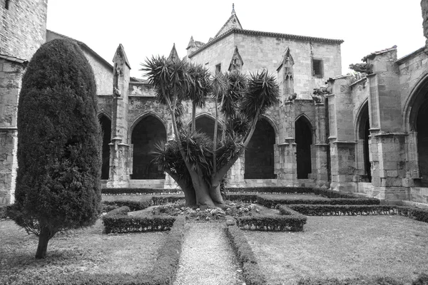 Narbonne (Francja), Katedra klasztor — Zdjęcie stockowe
