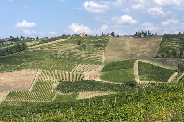 Vineyards in Oltrepo Pavese (Italy) — Stock Photo, Image