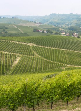 Langhe (Piedmont peyzaj)