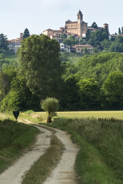 Monferrato (山前): 景观 — 图库照片