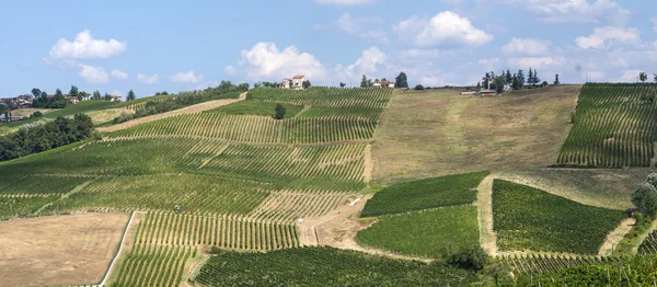 Agronegócio em Oltrepo Pavese (Italy ) — Fotografia de Stock