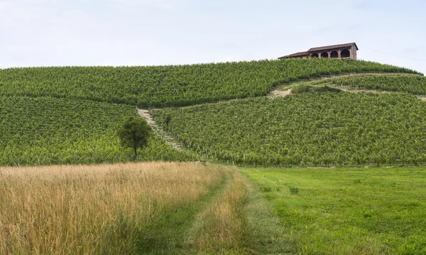 Monferrato (Piedmont): landscape — Stok Foto