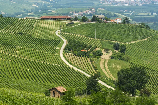 Langhe (Piedmont peyzaj)