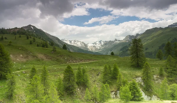 Bergslandskap i Frankrike — Stockfoto