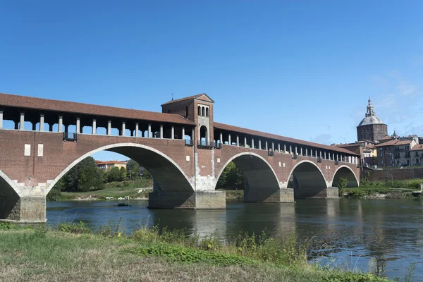 Pavia (Lombardia, Italia) ) — Foto Stock