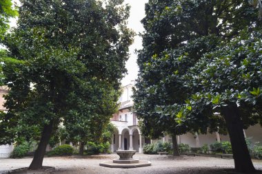 Pavia (İtalya): üniversite