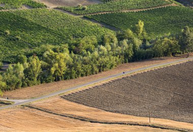 Oltrepo Pavese (İtalya üzüm bağları)