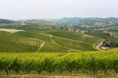 Langhe (Piedmont peyzaj)
