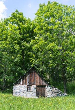 Alpler'de küçük evi