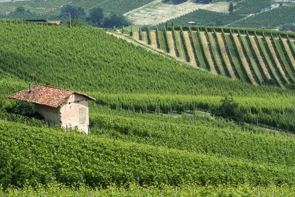 Paisagem em Langhe (Piedmont ) — Fotografia de Stock