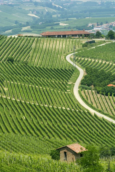 Krajobraz w Langhe (Piemont) — Zdjęcie stockowe