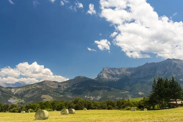 Krajina v oblasti Haute Provence — Stock fotografie