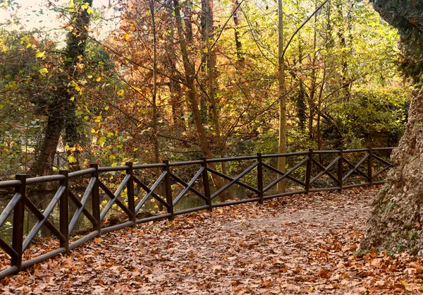 Milano (Italia): Giardini Pubblici — Foto Stock