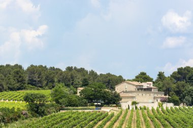 Hérault (Fransa grupta)