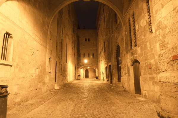 Narbonne (Aude, Languedoc-Roussillon, France): gothic buildings at evening