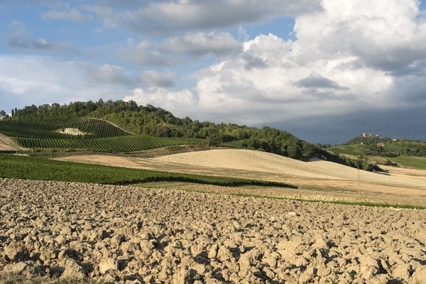 Wijngaarden in Oltrepo Pavese (Italië) — Stockfoto