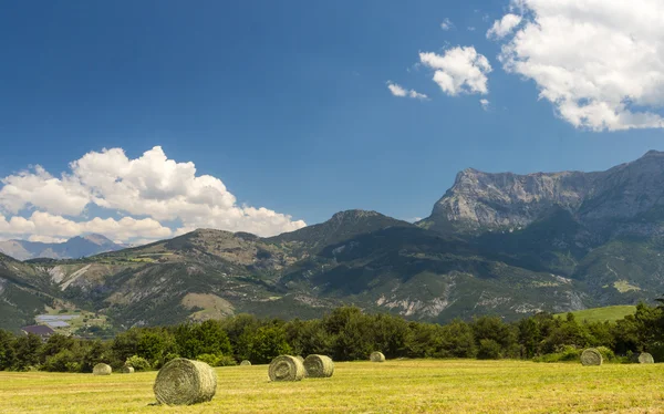 Paisaje en Alta Provenza — Foto de Stock