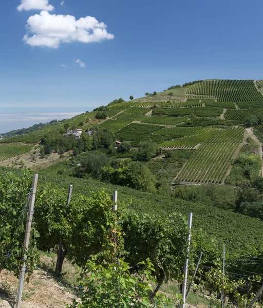 Agronegócio em Oltrepo Pavese (Italy ) — Fotografia de Stock