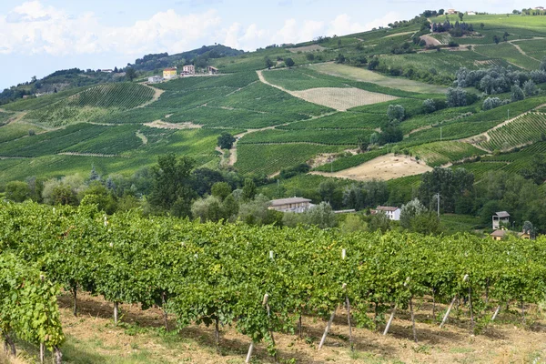 Vineyards in Oltrepo Pavese (Italy) — Stock Photo, Image