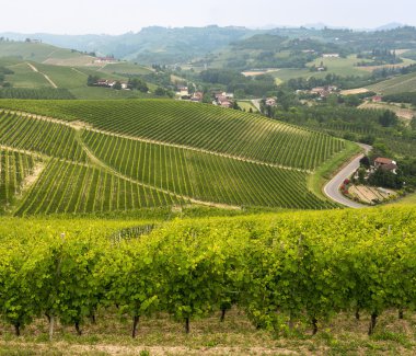Langhe (Piedmont peyzaj)